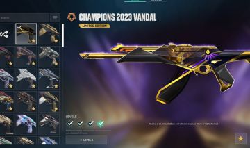 CONTA COM CHAMPIONS 23 e 24 - CHAVEIRO RADIANTE - 7K GASTOS