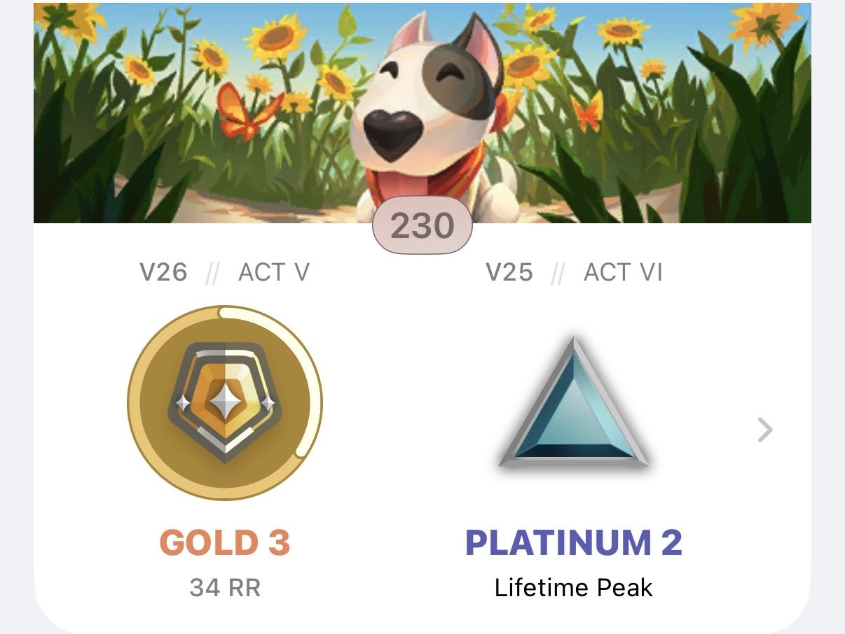 CONTA VALORANT LV 230 GOLD 3