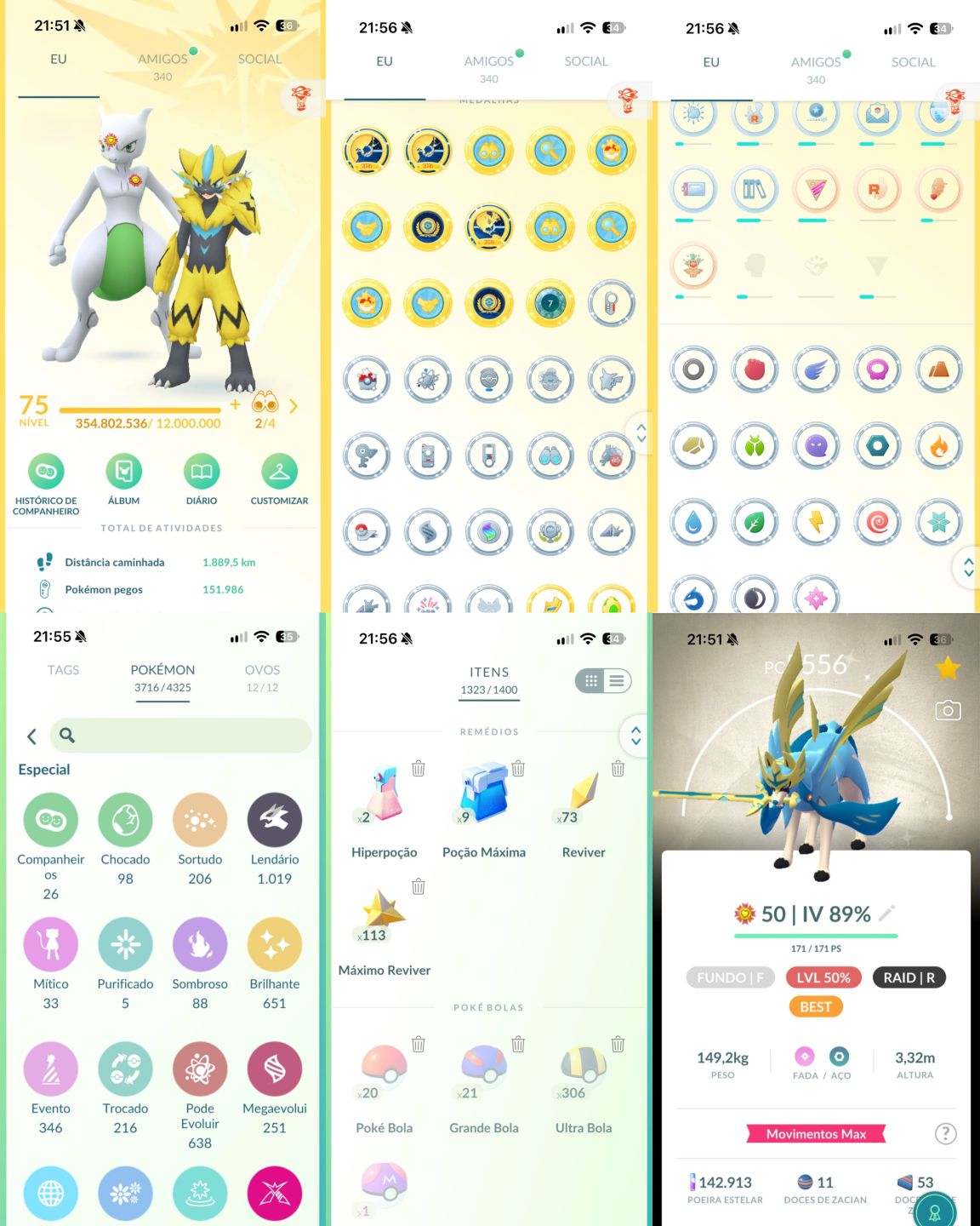 CONTA LVL 75 ENDGAME | 354 MILHÕES DE XP