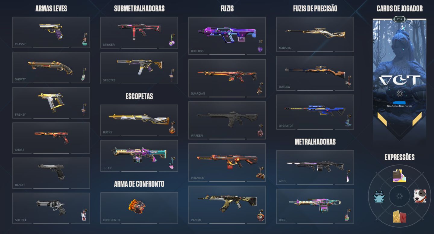 Conta Riot (Valorant e LoL) com alto investimento! Skins muito raras no Valorant