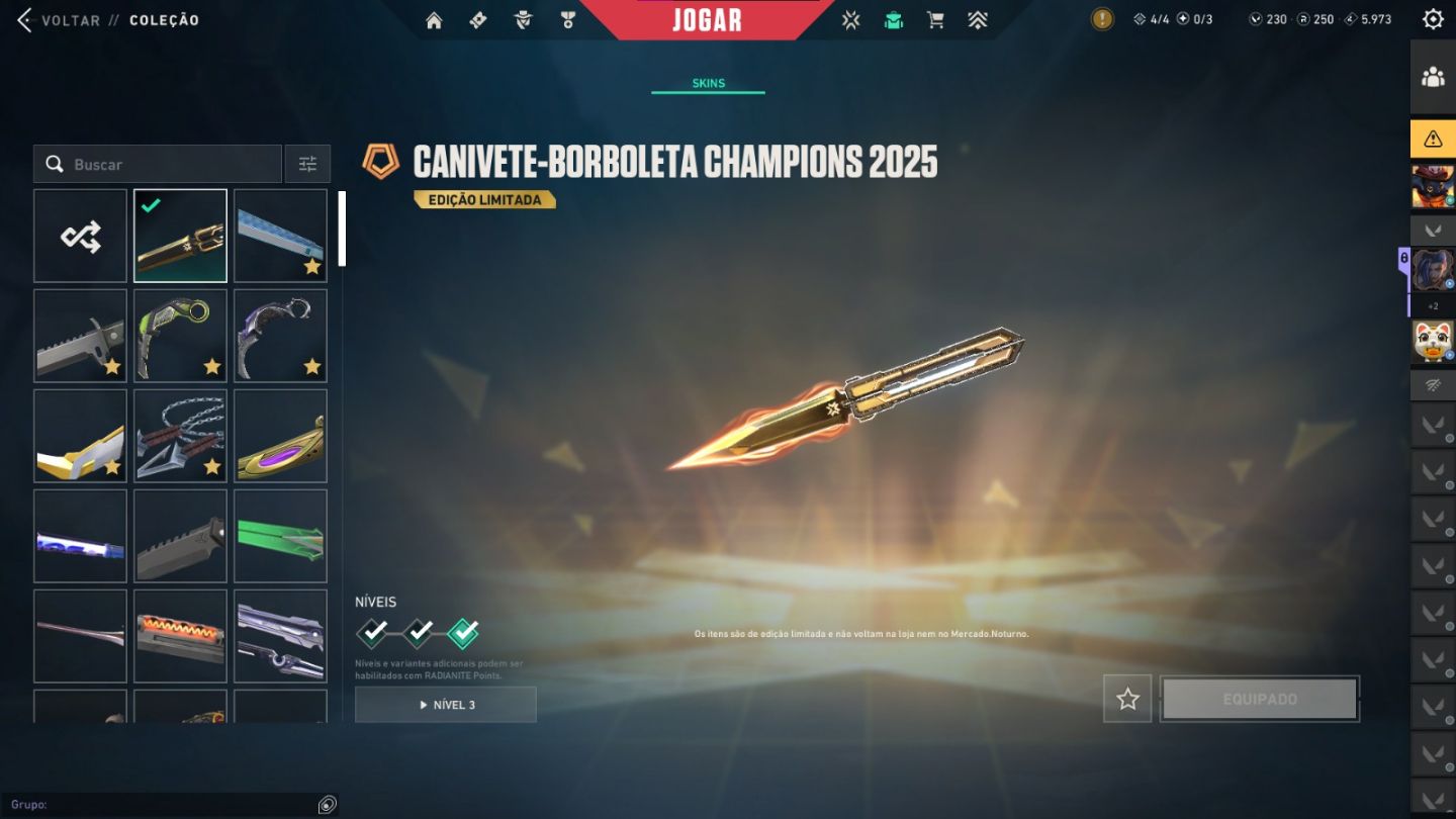 CONTA VALORANT CHAMPIONS 2025 + 12 FACAS | 14 VANDAL | ... +R$2500 GASTOS