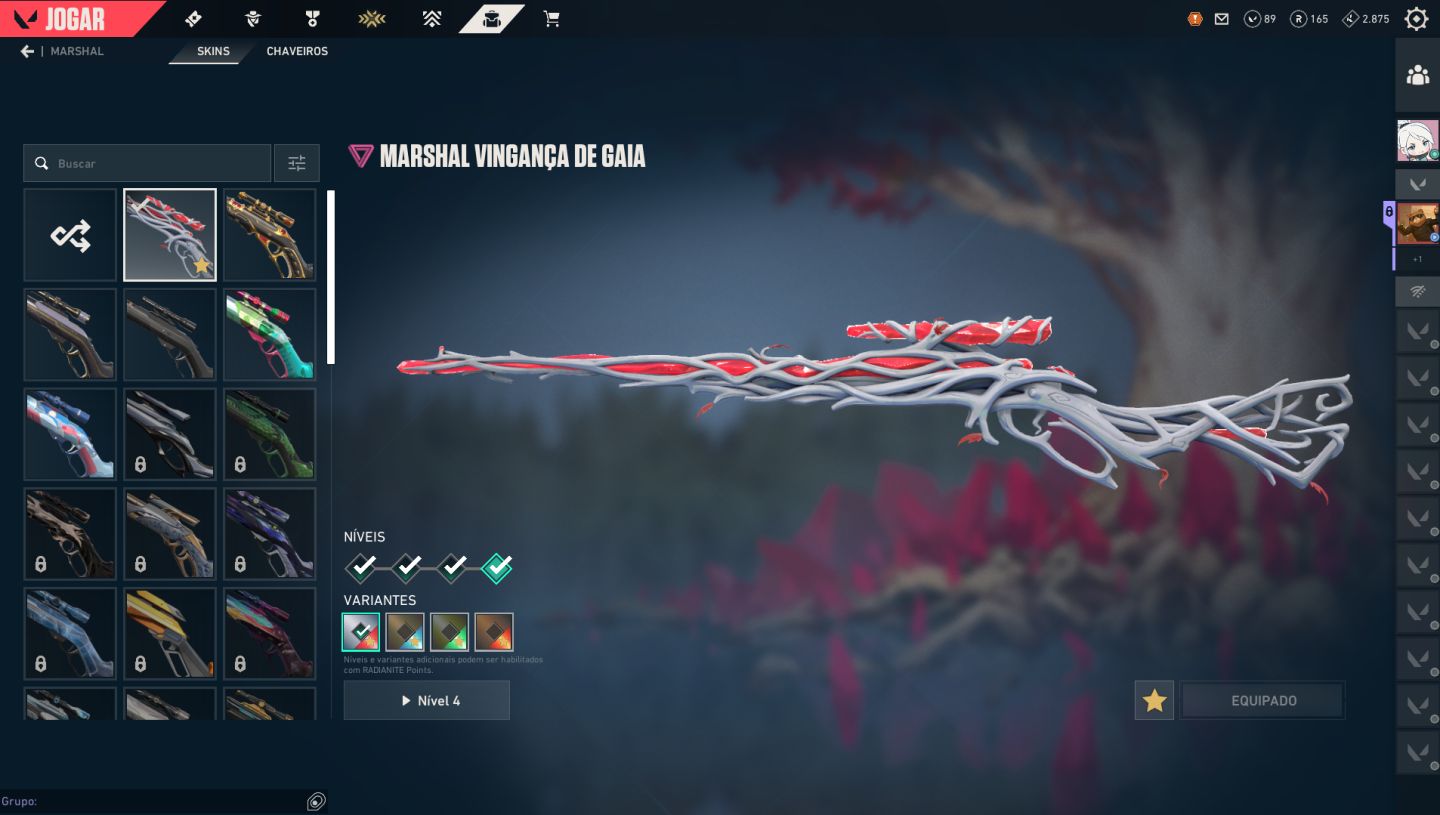 Conta de valorant com varias skin