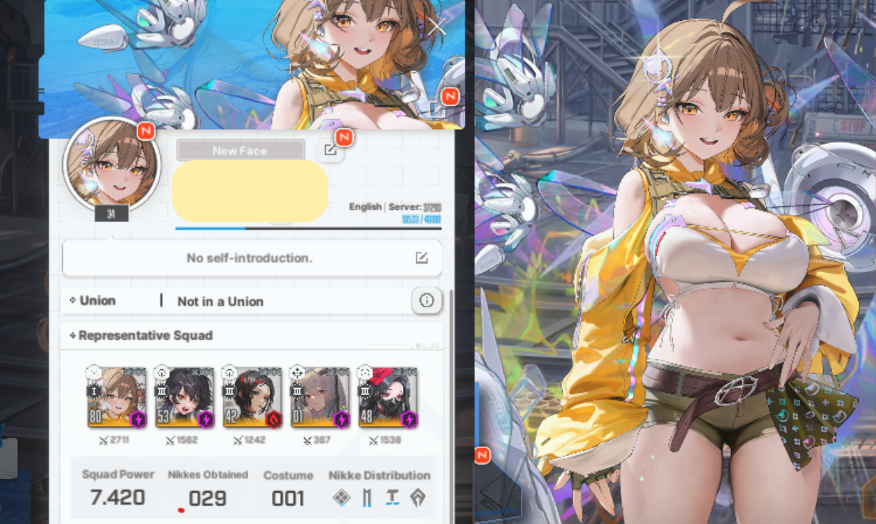 CONTA NIKKE || 11 SSR (INCLUINDO ANIS STAR)