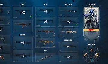 CONTA VALORANT RADIANTE VARIAS SKINS