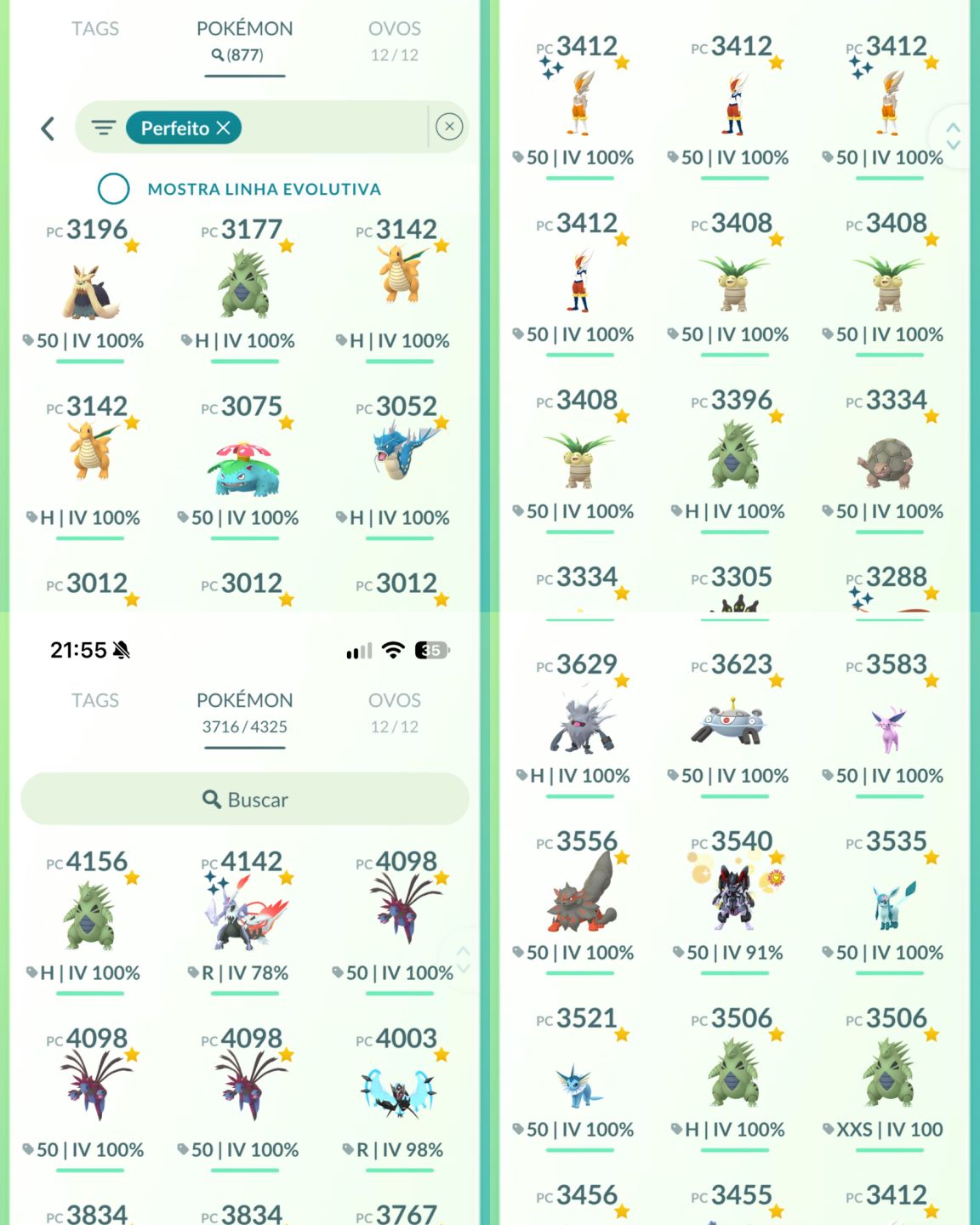 CONTA LVL 75 ENDGAME | 354 MILHÕES DE XP