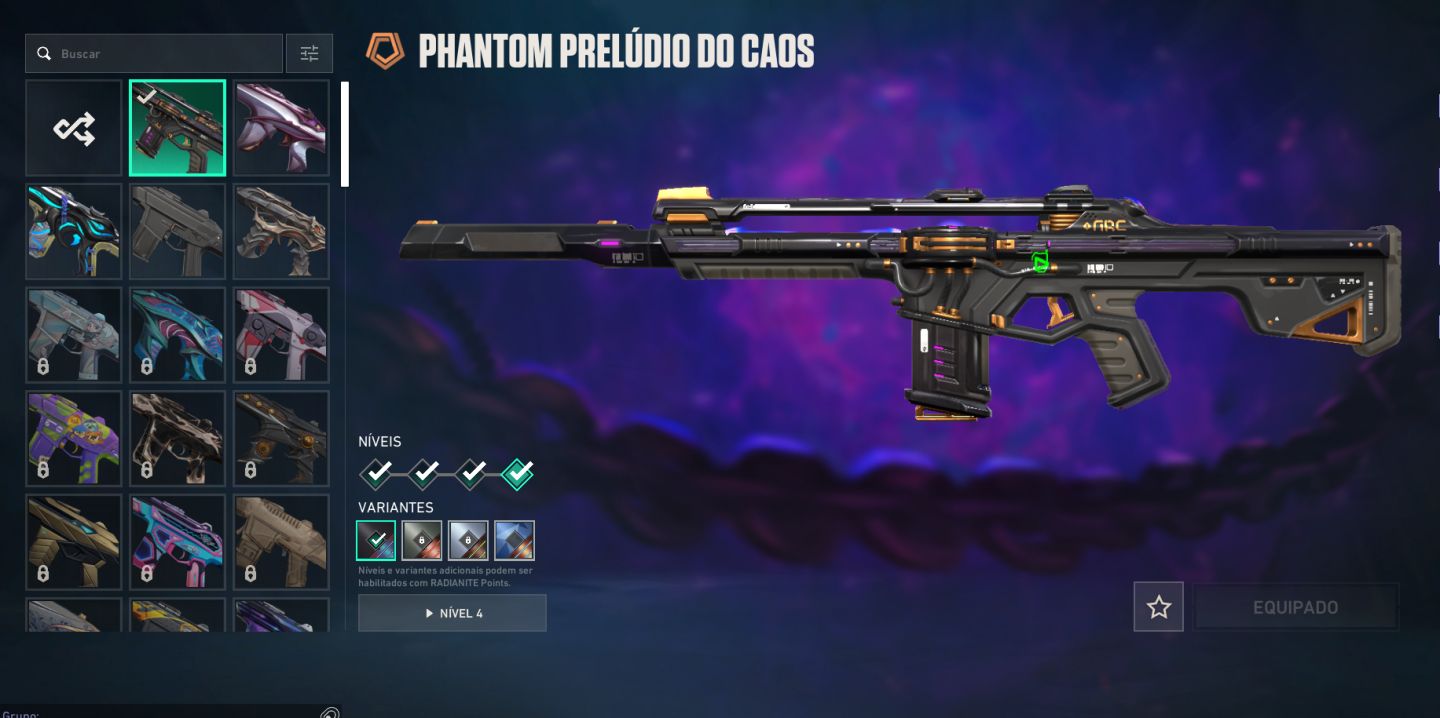 CONTA VALORANTE SKINS RARAS CONTA FULL ACESSO LEVEL 190 Pacote Champions 2024