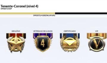 CONTA TENENTE-CORONEL (4 niveis) COM 6 VIPS PERMANENTES E MUITAS ARMAS MN.