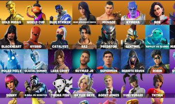 CONTA FORTNITE COM PEIXOTO COPA DO MUNDO, E-MAIL E SENHA ALTERAVEL