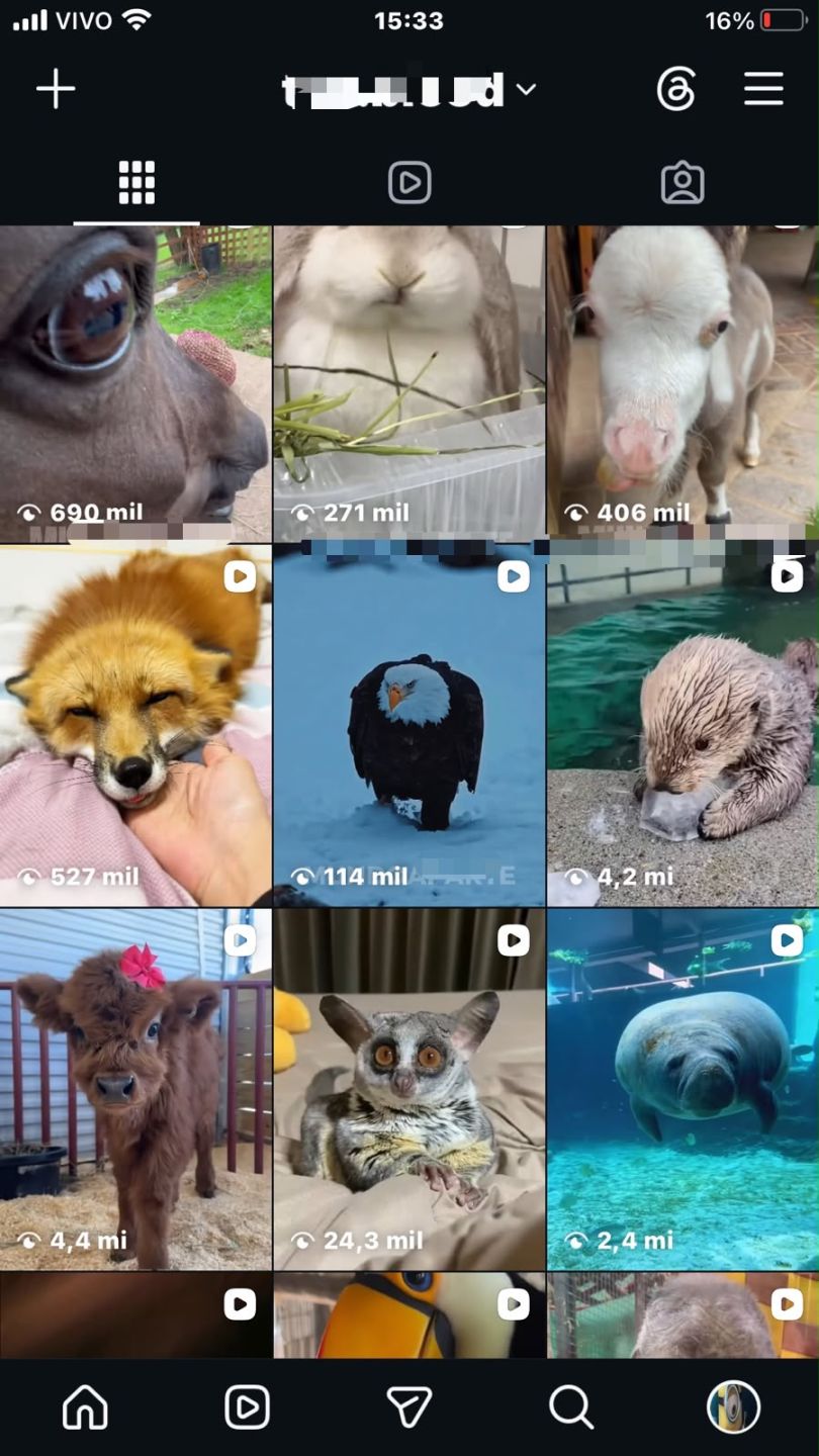 CONTA INSTAGRAM COM 24,2 MIL SEGUIDORES | IP BRASILEIRO