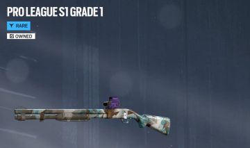 Lvl 1388 /Grade Y1S1 M590A1/5x Champions/19x Dima(s2,s3,s4,s5...)/29x Elites(PC)