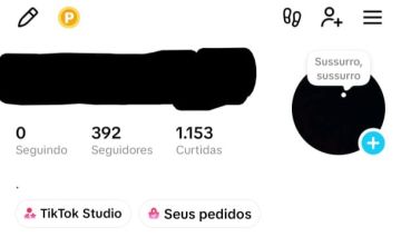 CONTA TIK TOK - 392 SEGUIDORES E 1.153 CURTIDAS | ENTREGA RÁPIDA