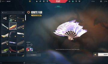 CONTA COM LEQUE FLAMEJANTE E CHAMPIONS 24 4K GASTOS