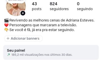 Conta de Instagram Cenas da Adriana | 820 Seguidores | Alto Engajamento |