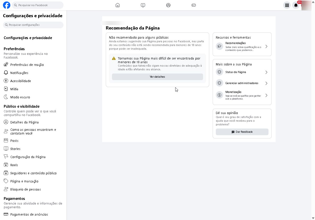 PÁGINA FACEBOOK 25K SEGUIDORES REAIS | 1 MILHÃO DE VIEWS EM 28 DIAS