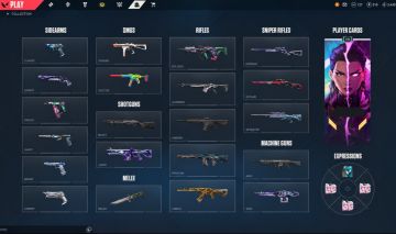 Conta valorant vandal champions 25, xenohunter, karambit sublime etc