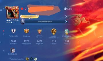 Conta antiga, 334 skins, com collabs e muito mais