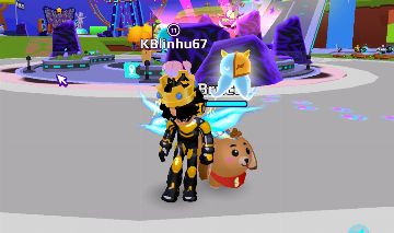 Conta de pk xd gemadinha + pets raros + level 20
