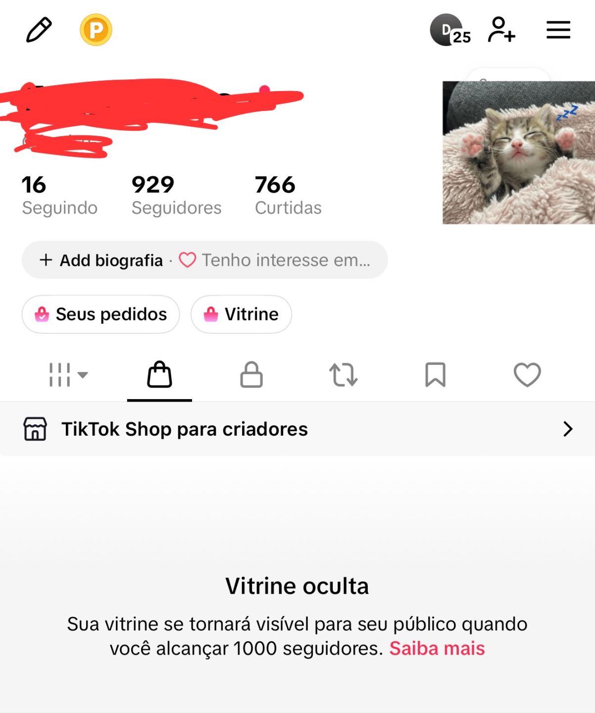 CONTA TIKTOK +900 SEGUIDORES REAIS