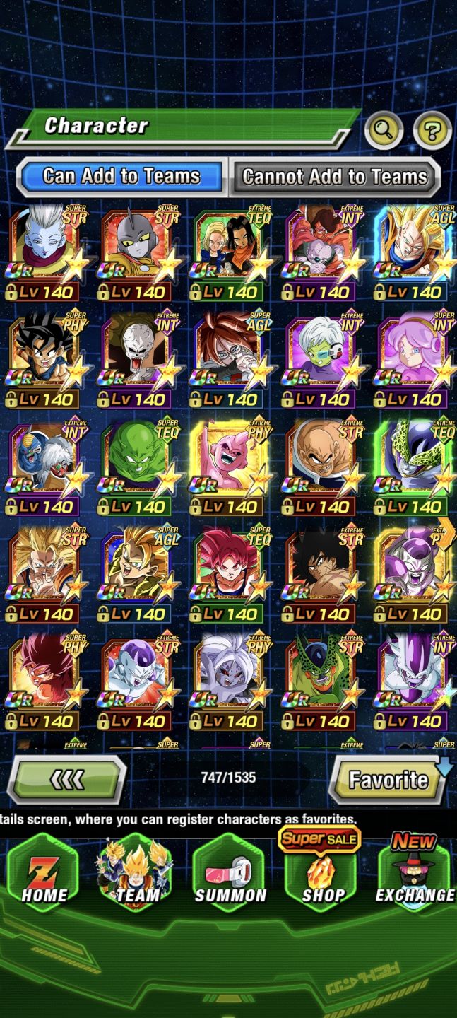 END GAME DOKKAN + 6K STONES