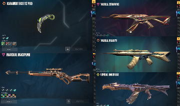CONTA DE VALORANT ÓTIMA COM SKINS DE VANDAL, PHANTOM E MAIS!