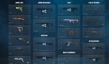 VALORANT ASC3 Peak IM3 + Champions 2024 + RGX Karambit
