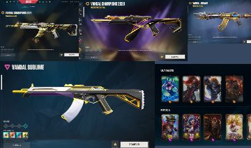 CONTA RIOT FULL SKINS E CONJUNTOS EXCLUSIVOS