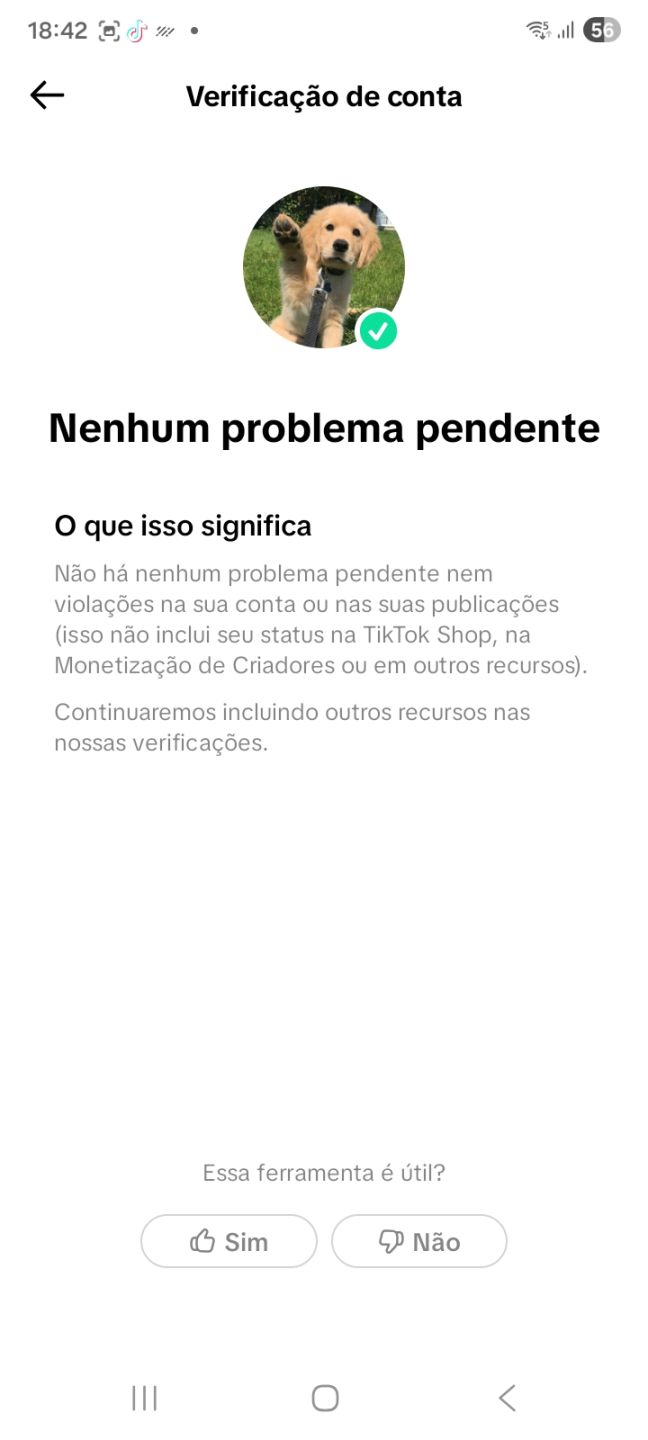 Conta TikTok 21,4K LIVE CELL - PROMOVER - LINK BIO (SEG. REAIS)