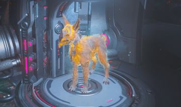 Conta Warframe Mr 21 Mid/end para Pc