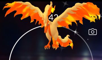 Moltres de galar shiny
