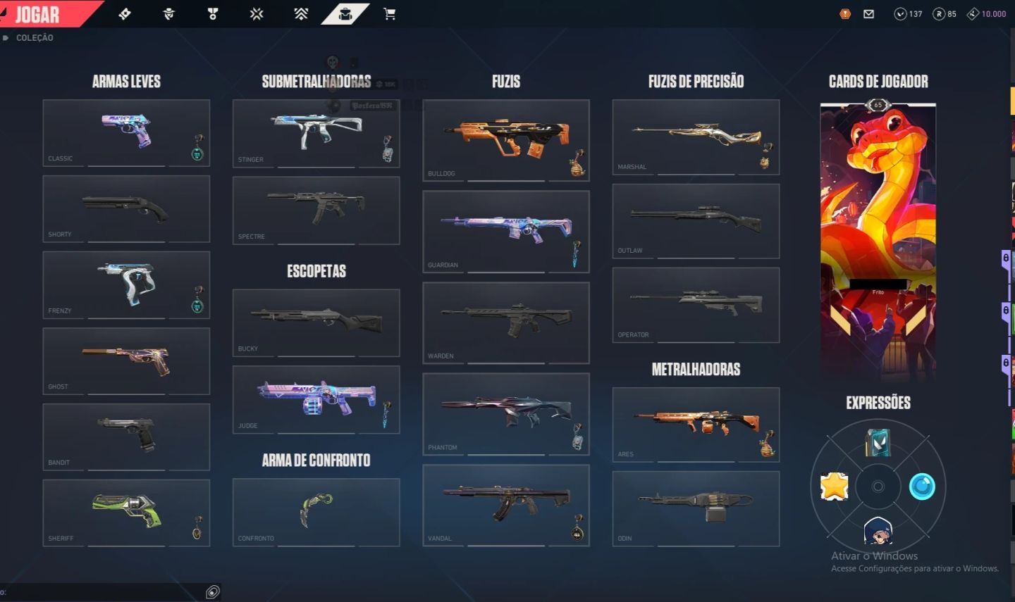 Conta Valorant com Vandal Preludio, Phantom Singularidade e Karambit Rgx