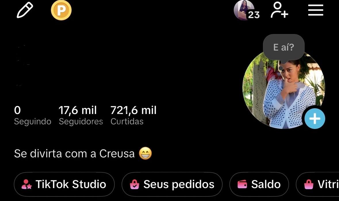 Conta TikTok | 17 Mil Seguidores