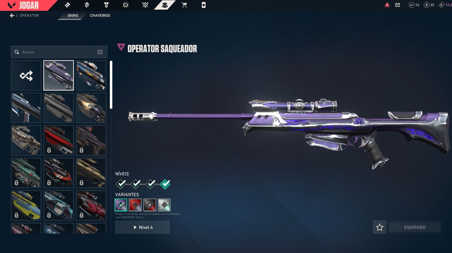 Conta valorant com várias skins!