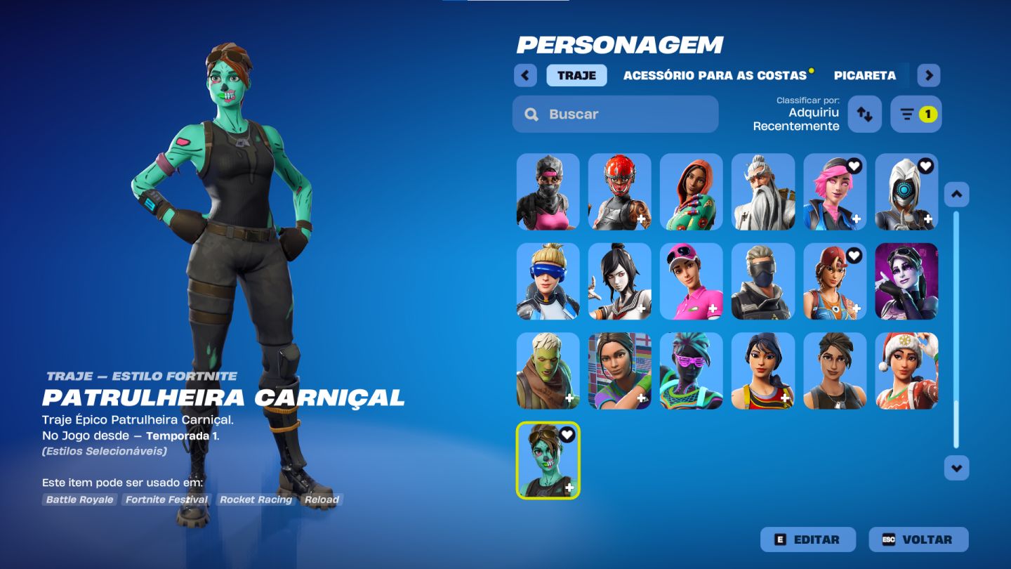 MINHA CONTA DE FORTNITE, 170 skins, 10 passes e muito mais, único dono