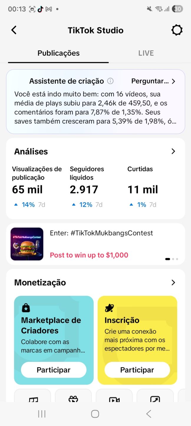 CONTA TIK TOK COM 28.OOO SEGUIDORES REAIS PRONTO PARA SEU USO (SUPORTE 24HORAS)