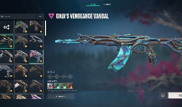 Conta valorant com muita skin ( 3733.70$ gastos )