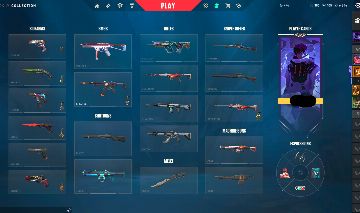 CONTA VALORANT/ Butterfly / VANDAL e Phantom Saqueadora / OUTRAS SKINS