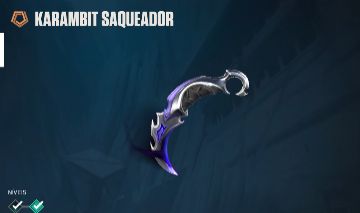 CONTA VALORANT COM SKINS com a faca karambit saqueadora