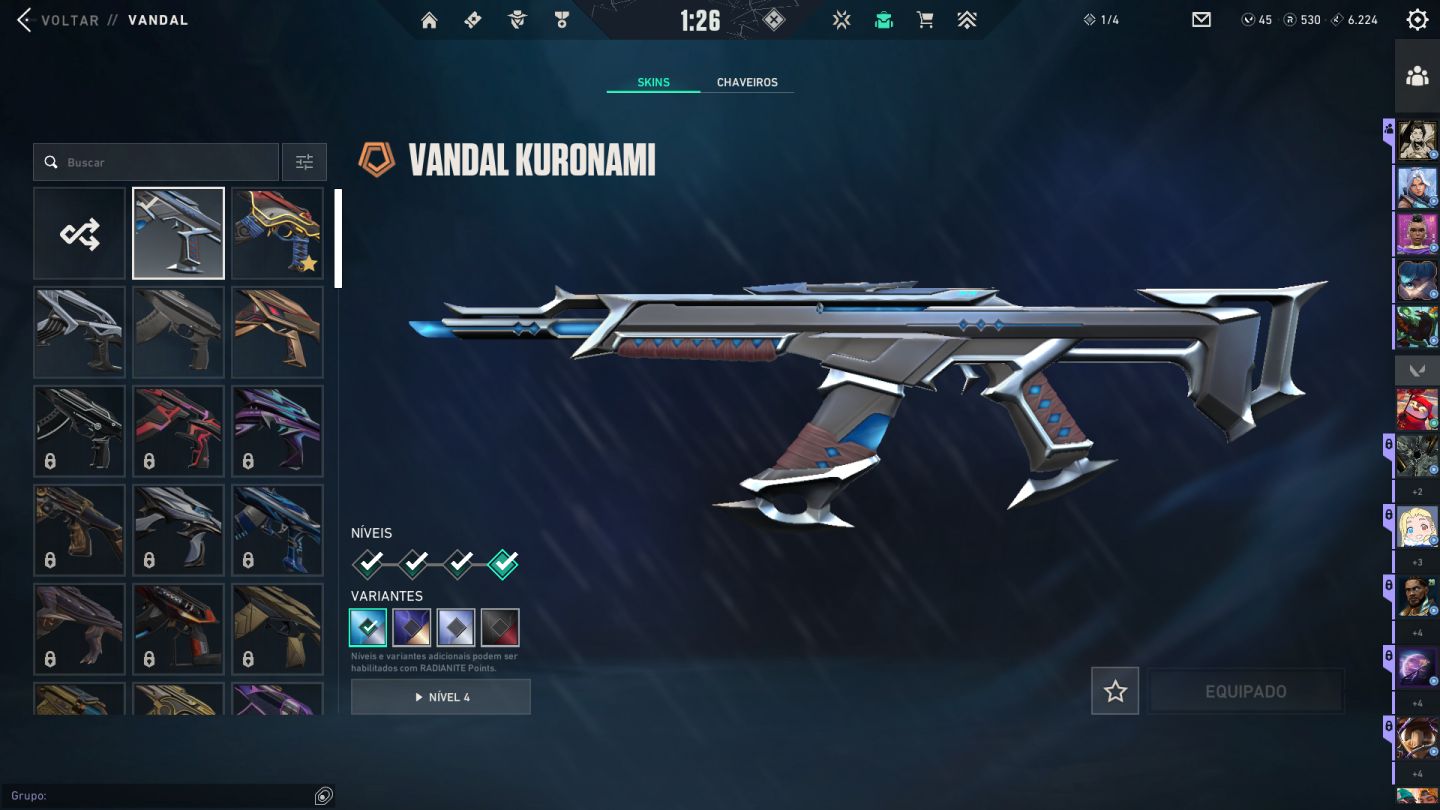 CONTA NÍVEL 206 | OURO | PLATINA 1 MÁX| 4 VANDALS| CAJADO RUYI| TODOS OS AGENTES
