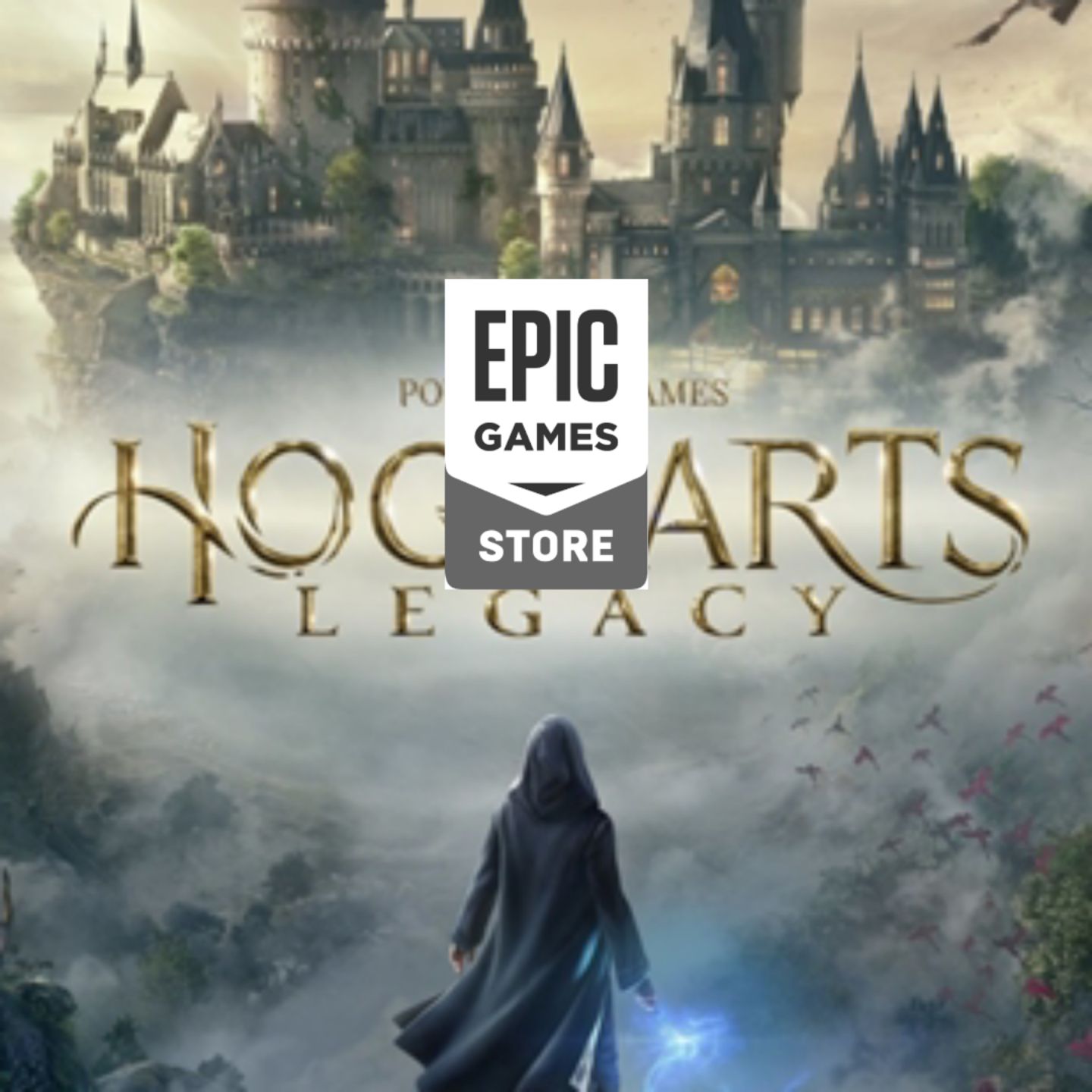 Epic Games Full Acesso Harry Hogwarts Legacy