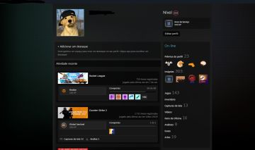 Conta Steam 11 Anos com Muitos Jogos [Melhor Preço]