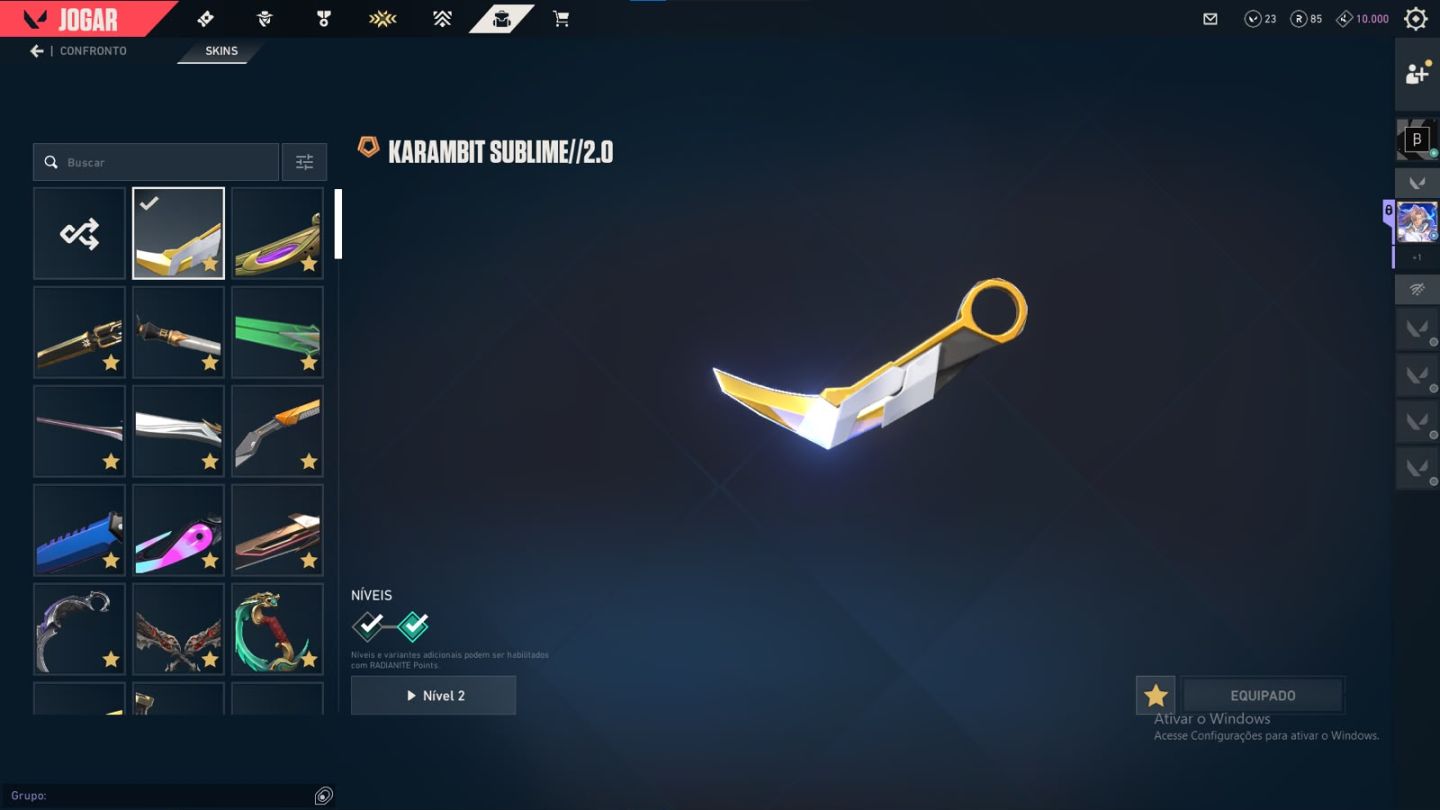 CONTA COM DIVERSAS SKINS E CARDS DO BETA