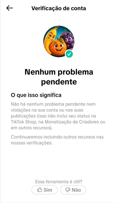 TIKTOK MONETIZADA 26,6 MIL SEGUIDORES | ADICIONAL + LINK NA BIO