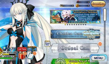 Fate NA | 31 SSR +NPs | end game