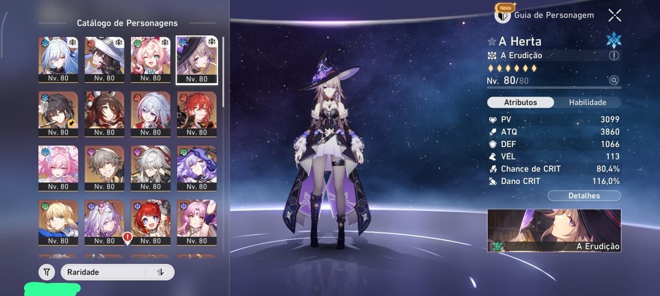 CONTA ENDGAME PREMIUM + COLAÇÃO FATE COMPLETA (SABER + ARCHER + GILGAMESH)