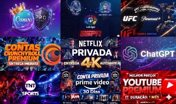 UFC /NETFLIX/GEMINI/CHAT GPT/ESPN/PRIMEVIDEO/CRUNCHYROL/YOUTUBE/ENVIO AUTOMATICO