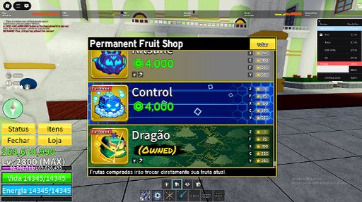 Conta BloxFruits RARISSIMA 4 FRUTAS PERM + 30M BOUNTY + ALL GAMEPASS