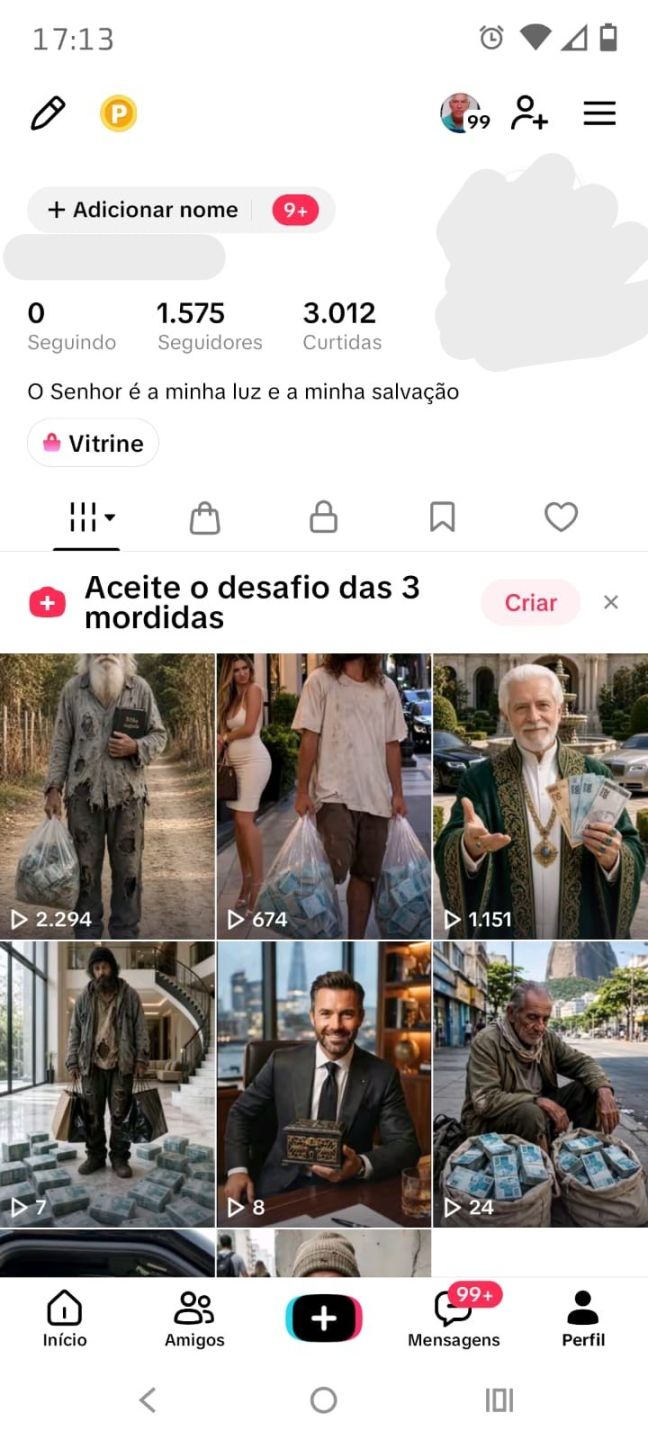 CONTA TIKTOK 1,5K SEGUIDORES, SHOP APROVADO | NICHO PROSPERIDADE | SEM DOC
