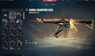 Conta Valorant 630 Reais Gastos Várias Skins