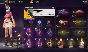 CONTA DE FF LVL 65
