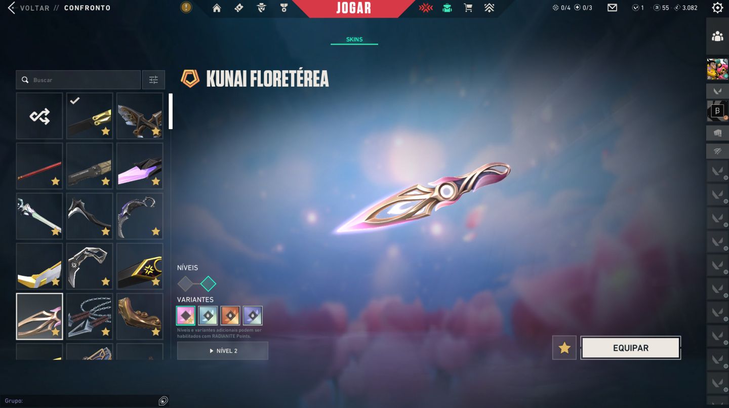 Conta Valorant com mais de 10K em skins. Champions 22/23/24/25, VCT, Arcane.